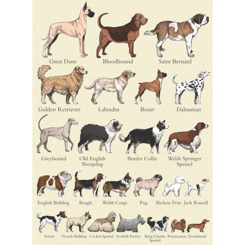 Dog Breeds Card-5015278490205