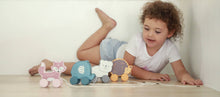 Load image into Gallery viewer, Animal Pull Along Toys - Various