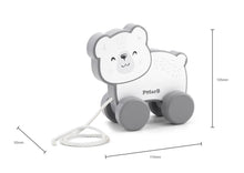 Load image into Gallery viewer, Animal Pull Along Toys - Various