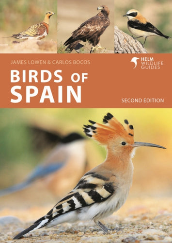 Birds of Spain-9781399405010