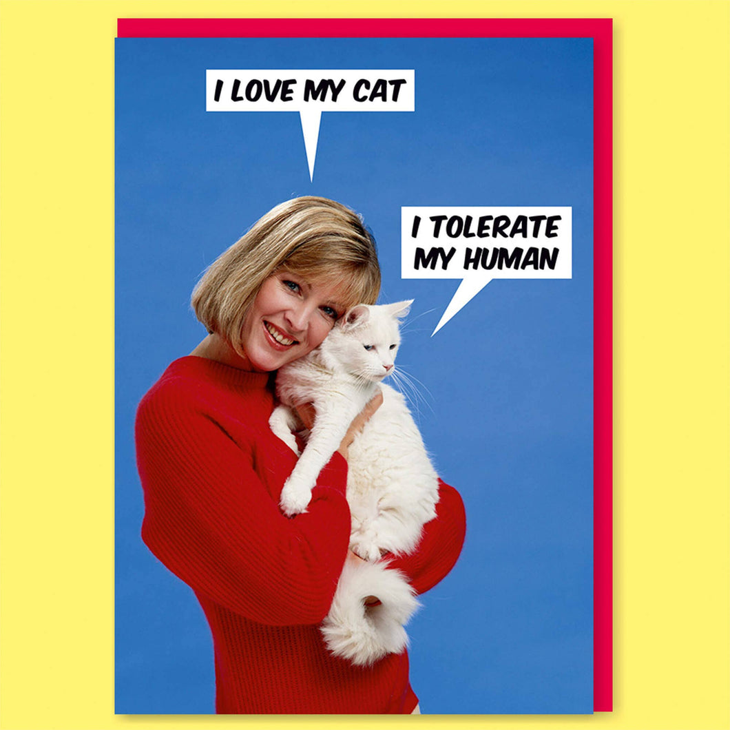 I love my cat funny greeting card