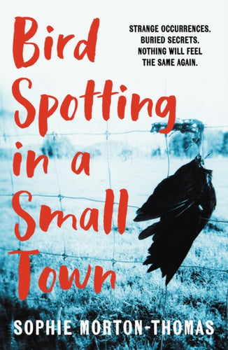 Bird Spotting in a Small Town-9780857308535