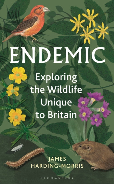 Endemic : Exploring the wildlife unique to Britain-9781399405676