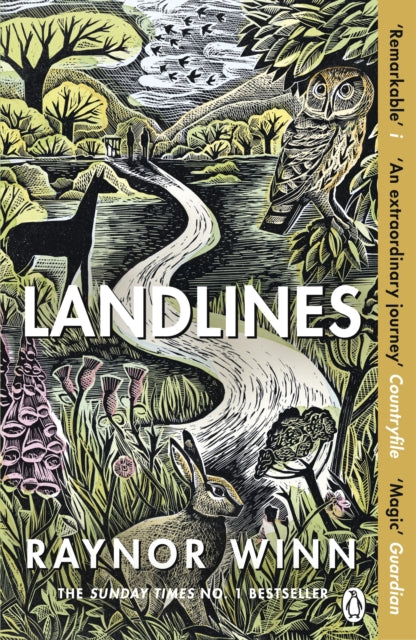 Landlines-9781405947787