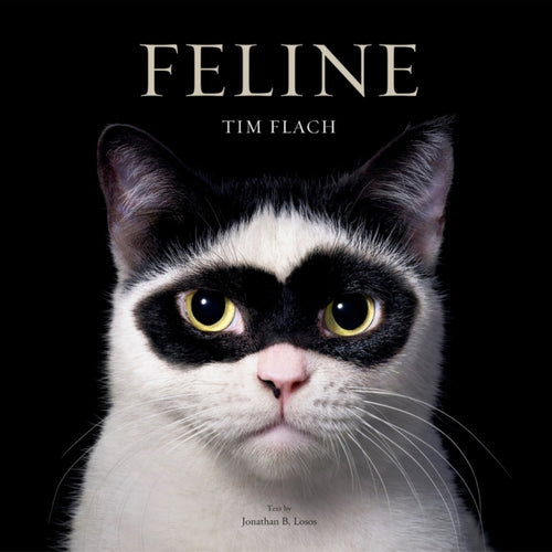 Feline : Photographs-9781419773648