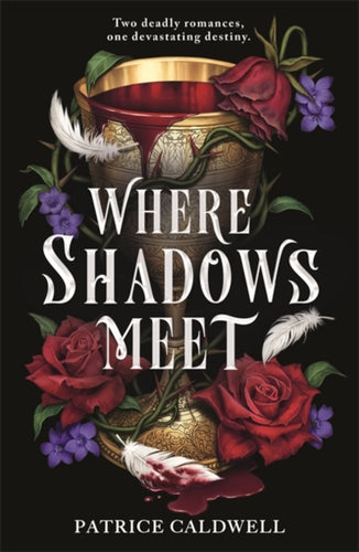Where Shadows Meet : The instant Sunday Times bestselling sapphic vampire romantasy-9781471411861