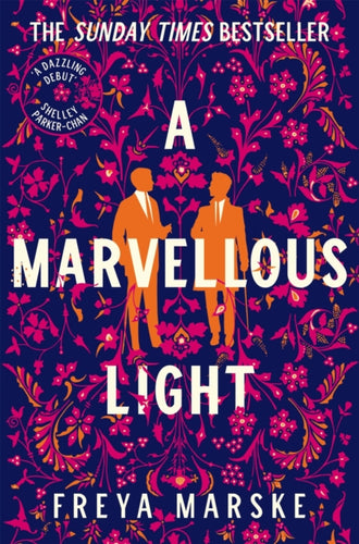 A Marvellous Light : a dazzling, queer romantic fantasy-9781529080902