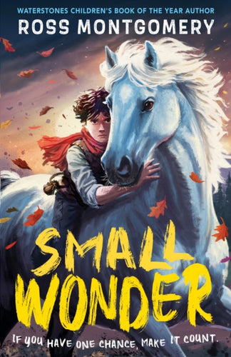 Small Wonder : The brand-new exciting adventure for 9-12-year-olds from the award-winning, bestselling author of I Am Rebel-9781529526127
