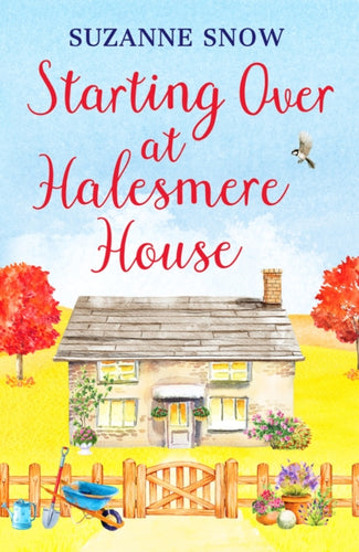 Starting Over at Halesmere House-9781800328785