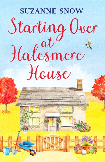 Starting Over at Halesmere House-9781800328785