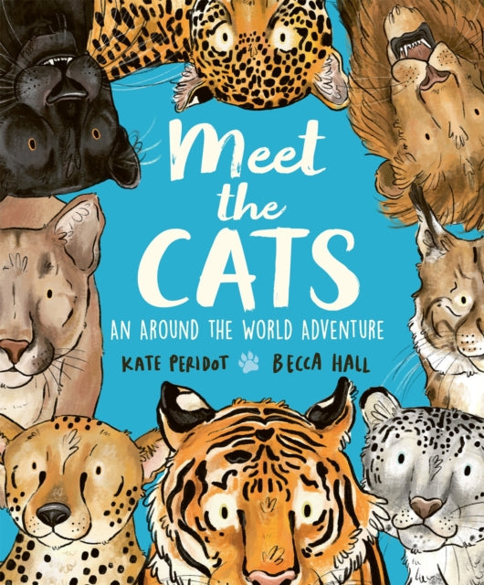 Meet the Cats-9781804538296