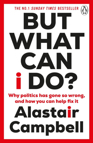 But What Can I Do? : Why Politics Has Gone So Wrong, and How You Can Help Fix It-9781804943137