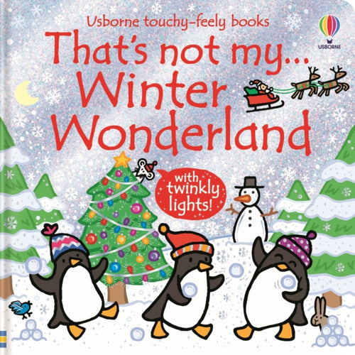 That's not my... Winter Wonderland-9781836042167