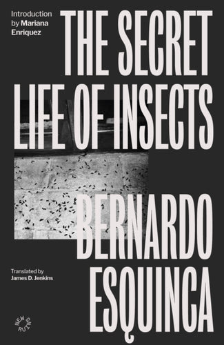The Secret Life of Insects-9781838171643