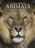 Encyclopedia of Animals-9781838865610