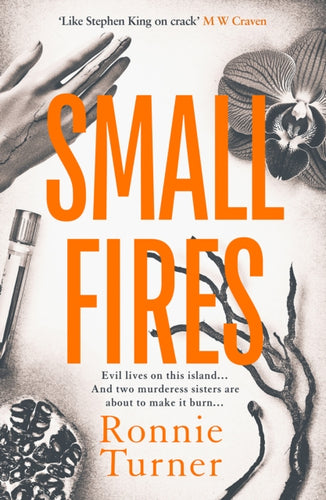 Small Fires : This year's most unsettling, hypnotic contemporary gothic thriller-9781916788473