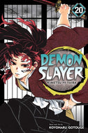 Demon Slayer: Kimetsu no Yaiba, Vol. 20 : Volume 20-9781974720972