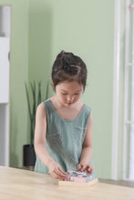 Charger l&#39;image dans la galerie, Animals 6 Sided Puzzle Blocks
