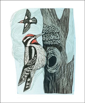 Lesser Spotted Woodpecker by Angela Harding Blank Card With Envelope