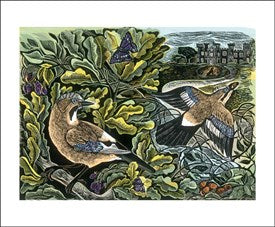 Knepp Jay and Oak Tree by Angela Harding Blank Card With Envelope