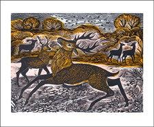 Red Knepp Deer Blank Card With Envelope