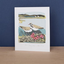Load image into Gallery viewer, Plovers &amp; Orkney Pinks by Angela Harding Blank Greeting Card and Envelope

