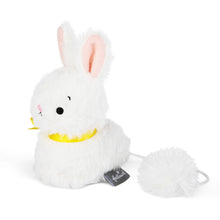 Charger l'image dans la galerie, Kids Zip-Along Easter Bunny Plush Toy The Book Nook
