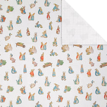 Load image into Gallery viewer, Peter Rabbit™ 2M Wrapping Paper Roll The Book Nook
