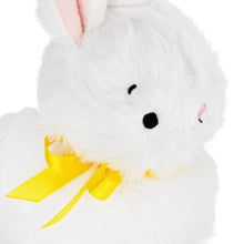 Charger l'image dans la galerie, Kids Zip-Along Easter Bunny Plush Toy The Book Nook

