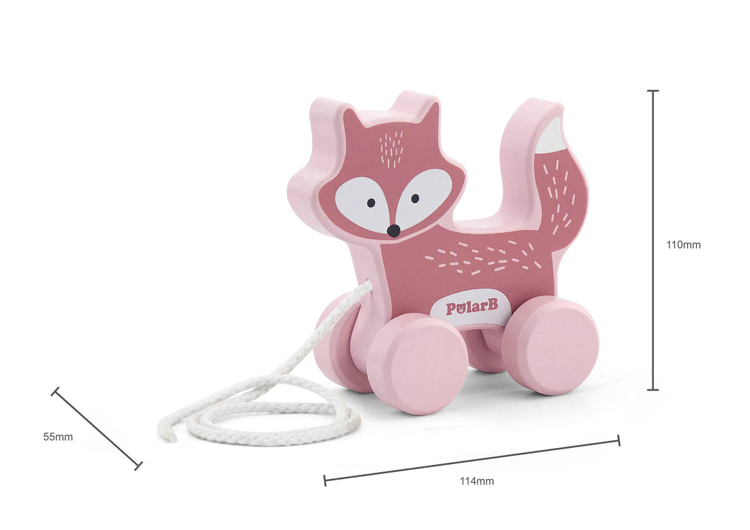 Animal  Pull Along Toys - Various