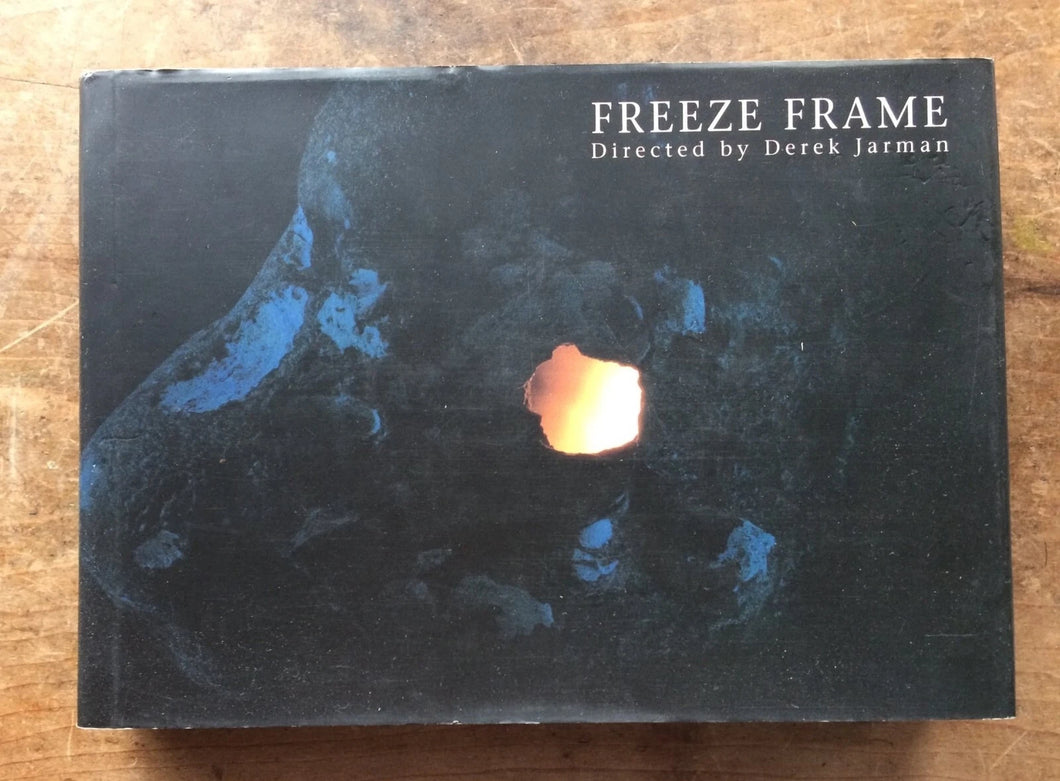 freeze frame directed by derek jarman
