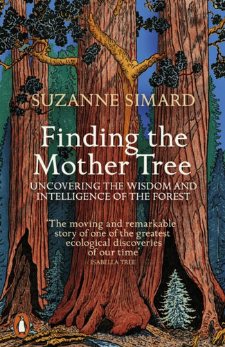 Finding the Mother Tree : Uncovering the Wisdom and Intelligence of the Forest-9780141990286