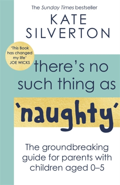 There's No Such Thing As 'Naughty' : The groundbreaking guide for parents with children aged 0-5: THE #1 SUNDAY TIMES BESTSELLER-9780349428529