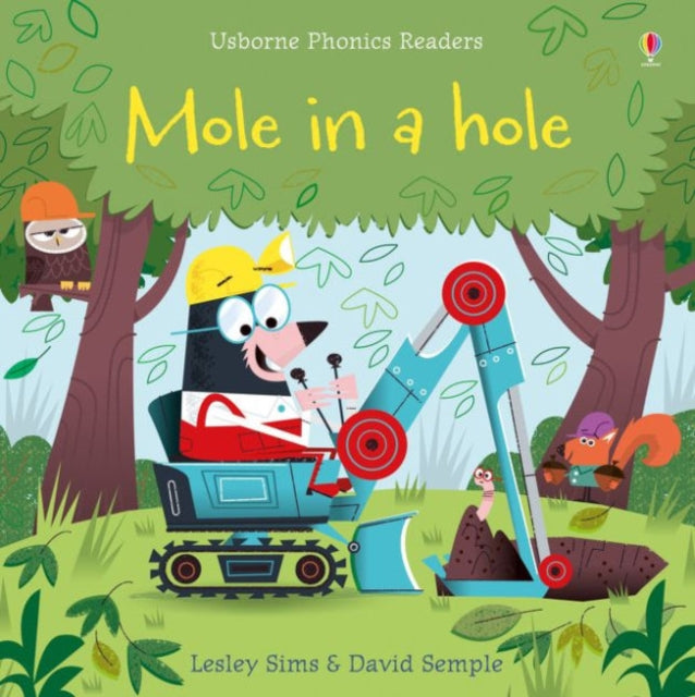 Mole in a Hole-9781409580423