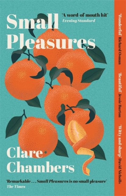 Small Pleasures : Longlisted for the Women's Prize for Fiction 2021-9781474613903