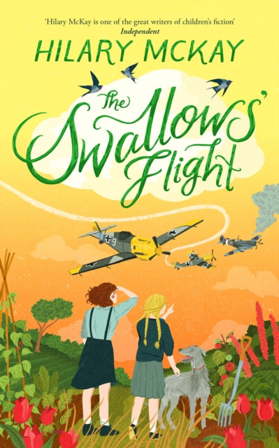 The Swallows' Flight-9781529033335