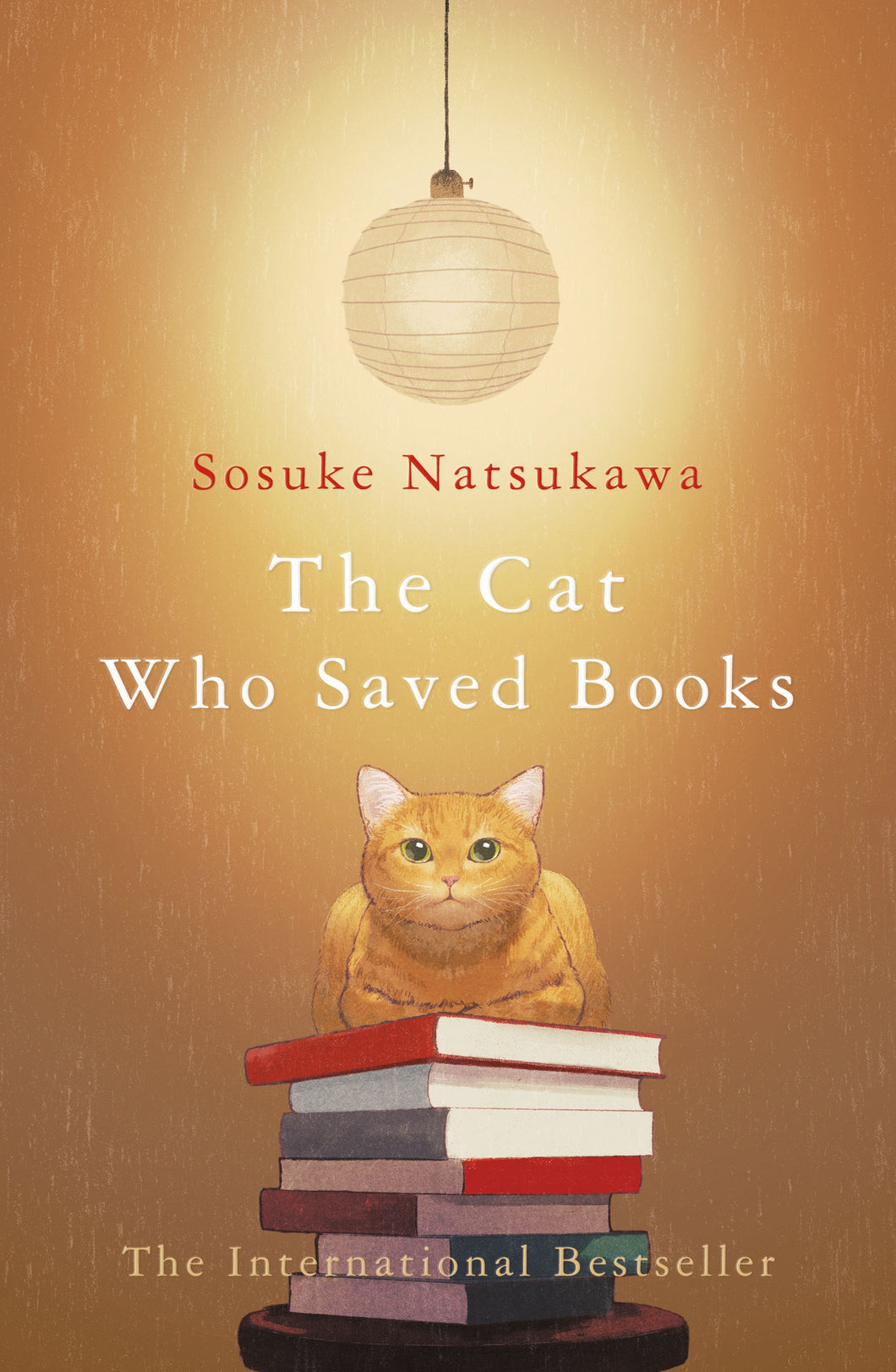 The Cat Who Saved Books by Sosuke Natukawa.